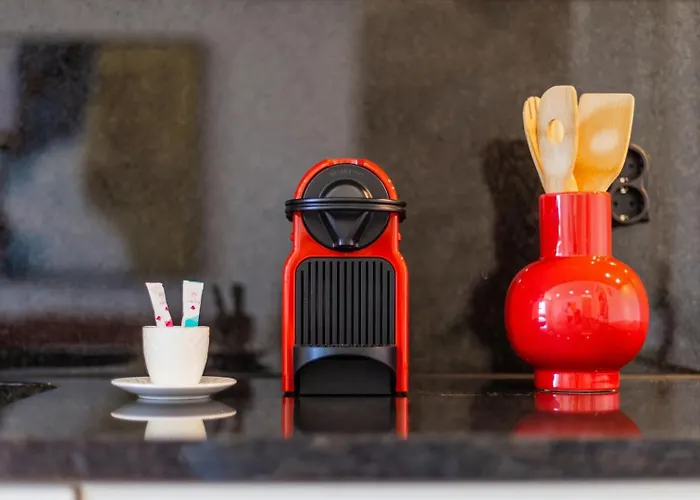 Bnbird Lifestyle In *